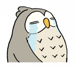 Daily life of owl sticker #1597444