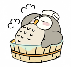 Daily life of owl sticker #1597451