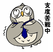 Daily life of owl sticker #1597465