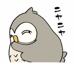 Daily life of owl sticker #1597467