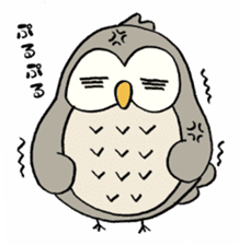 Daily life of owl sticker #1597471