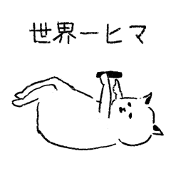 Everyday of mild cats.