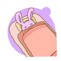 animals and Vegetable sticker #1599502