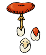 Fairy of mushroom Sticker sticker #1600660