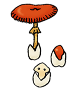 Fairy of mushroom Sticker sticker #1600660