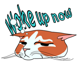 Matatabby of the cat (English  version) sticker #1600834