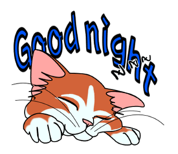 Matatabby of the cat (English  version) sticker #1600835