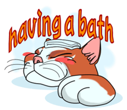 Matatabby of the cat (English  version) sticker #1600852