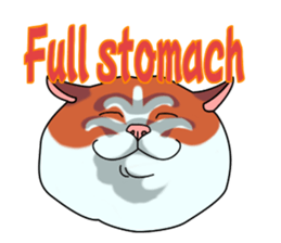 Matatabby of the cat (English  version) sticker #1600863