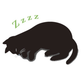 Black cat Lulu sticker #1603628