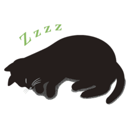 Black cat Lulu sticker #1603628