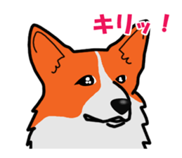 With no motivation Version cogio sticker #1604600