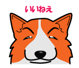 With no motivation Version cogio sticker #1604610