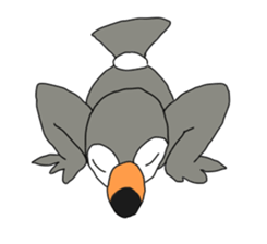 Funny toucan sticker #1605329