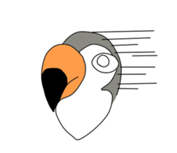 Funny toucan sticker #1605335