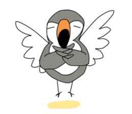 Funny toucan sticker #1605340