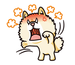 Wasao who's dog and famous in cute ugly. sticker #1606722