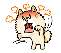 Wasao who's dog and famous in cute ugly. sticker #1606722