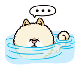 Wasao who's dog and famous in cute ugly. sticker #1606738