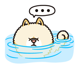 Wasao who's dog and famous in cute ugly. sticker #1606738