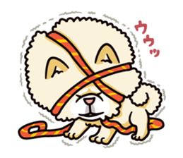 Wasao who's dog and famous in cute ugly. sticker #1606744
