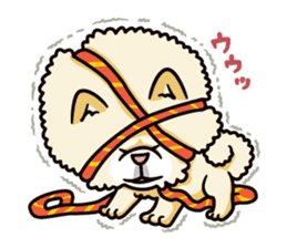 Wasao who's dog and famous in cute ugly. sticker #1606744