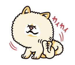 Wasao who's dog and famous in cute ugly. sticker #1606746