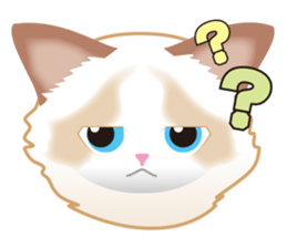 Silly Ragdoll sticker #1606914