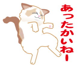 Silly Ragdoll sticker #1606916