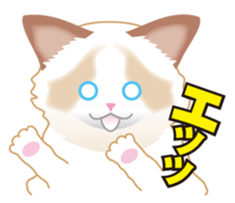 Silly Ragdoll sticker #1606918