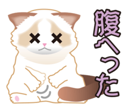 Silly Ragdoll sticker #1606919