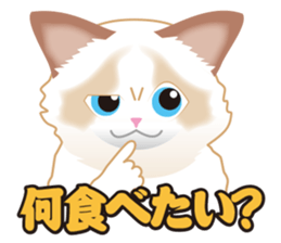 Silly Ragdoll sticker #1606920