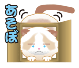 Silly Ragdoll sticker #1606922