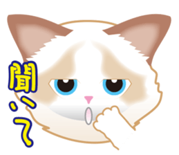 Silly Ragdoll sticker #1606923