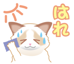 Silly Ragdoll sticker #1606924