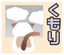 Silly Ragdoll sticker #1606926