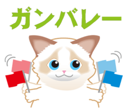 Silly Ragdoll sticker #1606927