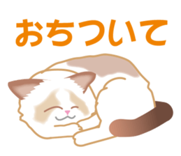Silly Ragdoll sticker #1606931