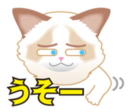 Silly Ragdoll sticker #1606932