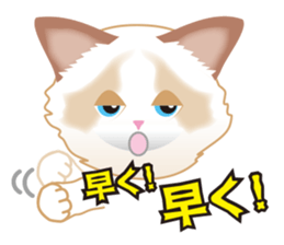 Silly Ragdoll sticker #1606933