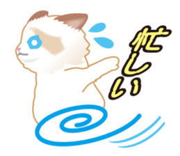 Silly Ragdoll sticker #1606934