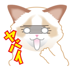 Silly Ragdoll sticker #1606937