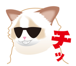 Silly Ragdoll sticker #1606938
