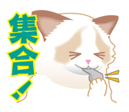 Silly Ragdoll sticker #1606942