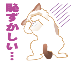 Silly Ragdoll sticker #1606943