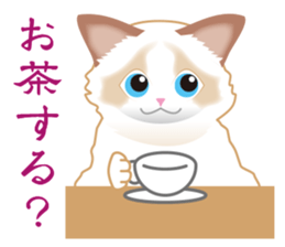 Silly Ragdoll sticker #1606944
