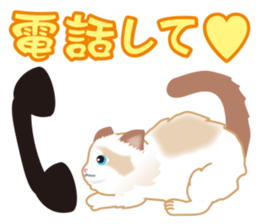 Silly Ragdoll sticker #1606945