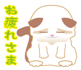 Silly Ragdoll sticker #1606947