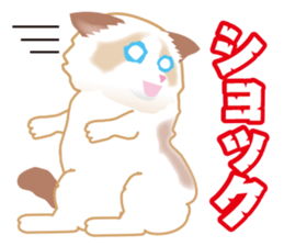 Silly Ragdoll sticker #1606948