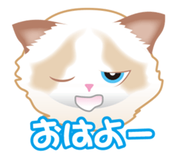 Silly Ragdoll sticker #1606949